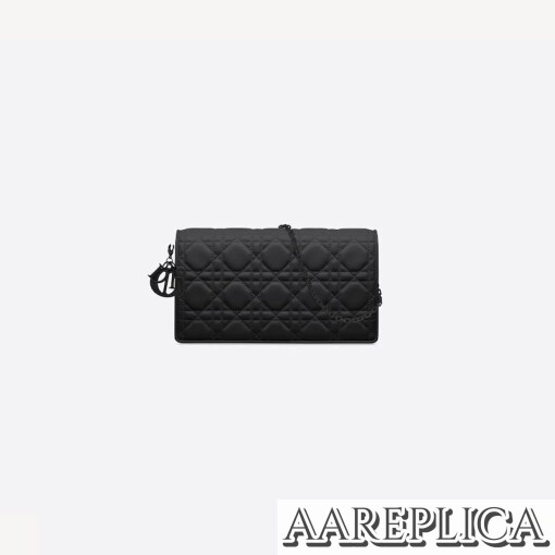 Replica Lady Dior Pouch S0204SLOI_M989