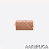 Replica Lady Dior Pouch S0204SLOI_M989 4