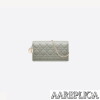 Replica Lady Dior Pouch S0204OVRB_M49P 4