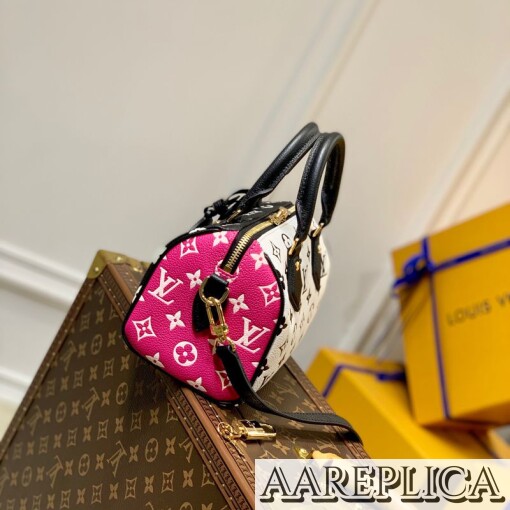 Replica Louis Vuitton Speedy Bandoulière 20 LV M46088 6