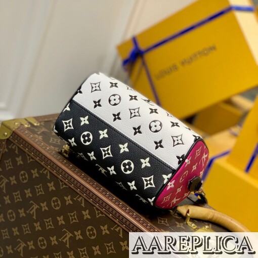 Replica Louis Vuitton Speedy Bandoulière 20 LV M46088 7