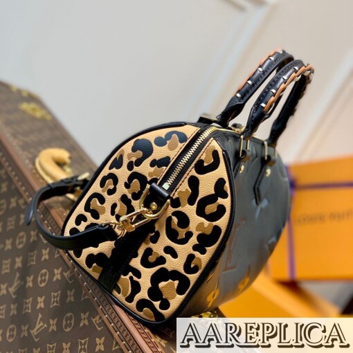 Replica Louis Vuitton Speedy Bandoulière 25 LV M58524 2