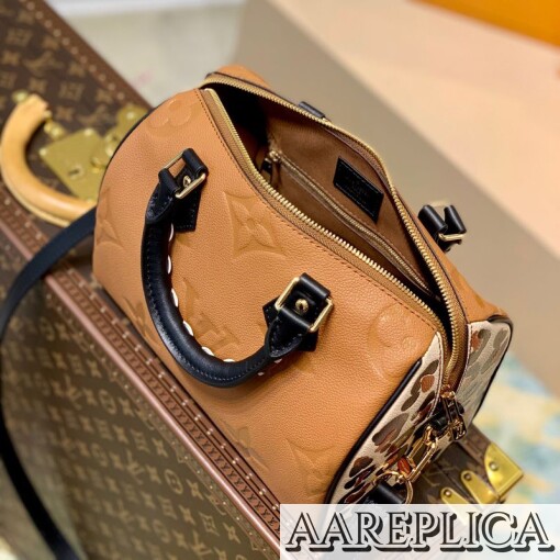 Replica Louis Vuitton Speedy Bandoulière 25 LV M45840 3