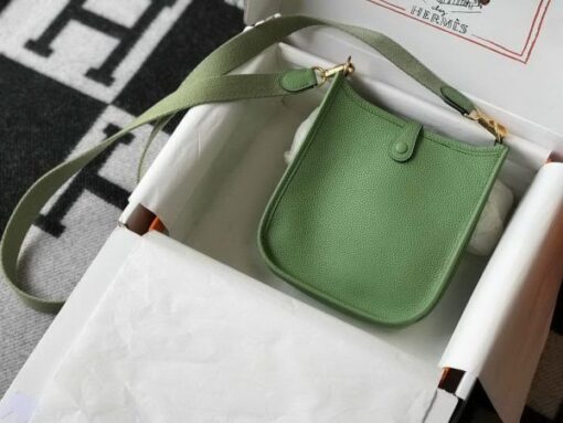 Replica Hermes Evelyne Bag Designer Hermes Mini Crossbody Bag 20393 Gold Buckle Light Green 2