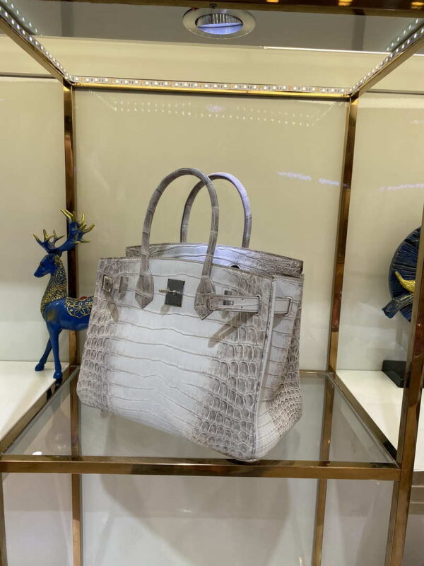 Replica Hermes Birkin Designer Tote Bag Himalaya Crocodile Leather H99820 2