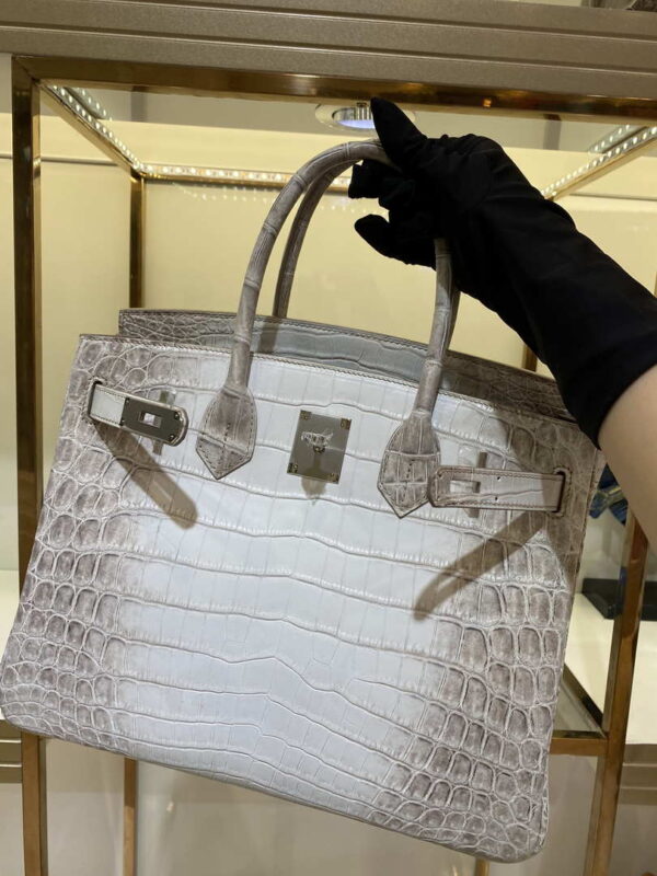 Replica Hermes Birkin Designer Tote Bag Himalaya Crocodile Leather H99820 5