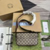 Replica Gucci 764961 Ophidia Mini Bag Oatmeal 9