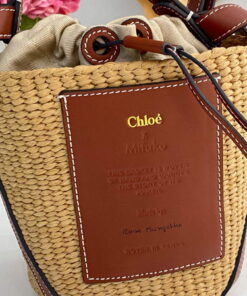 Replica Chloé CHC22SS391G56101 Small Basket Tote Bag Brown 2