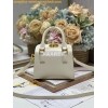 Replica Dior Saddle Bag With Strap Grained Calfskin M0455 Gray Stone 19