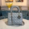 Replica Dior Lady Dior Medium Flap Cover Quilted in Cannage Lambskin L 10