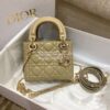 Replica Dior Lady Dior Medium Flap Cover Quilted in Cannage Lambskin L 11