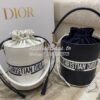 Replica Dior Medium Lady D-Lite Bag Bright Yellow and Green D-Flower P 10