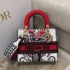 Replica Dior Small Diortravel Vanity Case With Shoulder Strap S5529 in 11