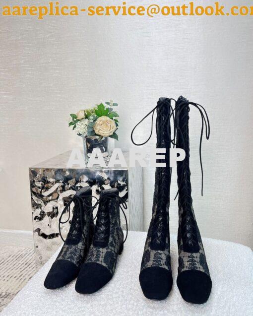 Replica Dior Naughtily-D Heeled Ankle Boots Transparent Mesh and Suede