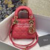 Replica Dior Book Tote bag in Multicolor La Force Embroidery 17