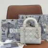 Replica Dior Medium Lady Dior Ultra-Matte Nude Tote Bag M0565 13