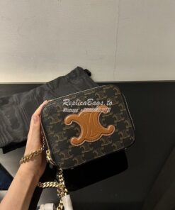 Replica Celine Box On Chain Cuir Triomphe In Triomphe Canvas And Calfs 2