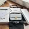 Replica Celine Box On Chain Cuir Triomphe In Triomphe Canvas And Calfs 14