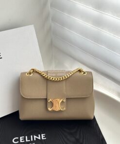 Replica Celine Teen Victoire Bag In Supple Calfskin 116593 Brown Sepia 2