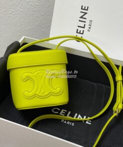 Replica Celine Small Box Cuir Triomphe In Smooth Calfskin 199263 Anis 2