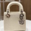 Replica Dior Lizard Mini Lady Dior Bag in Grey 10