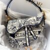 Replica Dior Saddle Bag M0446 Beige Multicolor Mizza Embroidery 15