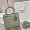 Replica Dior Saddle Bag M0446 Beige Multicolor Mizza Embroidery 16