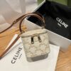 Replica Celine Mini Vanity Case In Triomphe Canvas And Calfskin 10J762 11