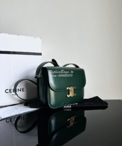 Replica Celine Triomphe Bag Shiny Calfskin Amazone 2