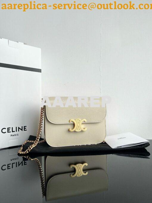 Replica Celine Medium College Bag In Shiny Calfskin 113583 Pampa 2