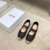 Replica Dior Caro Espadrille Ballerina Flat Nude Mesh Embroidery KCB67 9