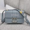 Replica Dior 30 Montaigne Calfskin Bag in Beige 10