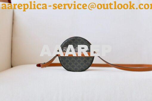 Replica Celine Round Purse On Strap In Triomphe Canvas And Lambskin 10 2