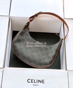 Replica Celine Ava Bag In Triomphe Canvas 193952 Tan