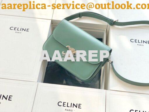 Replica Celine Triomphe Bag Celadon 9