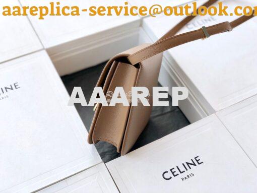 Replica Celine Classic Box Bag in Calfskin with Cork Effect Beige 4