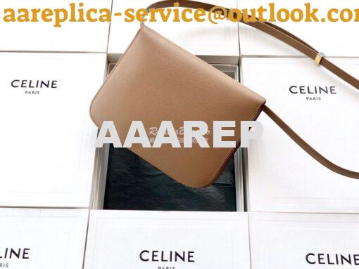 Replica Celine Classic Box Bag in Calfskin with Cork Effect Beige 12