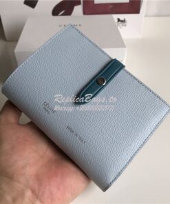 Replica Celine Strap medium/large multifunction wallet in light blue g