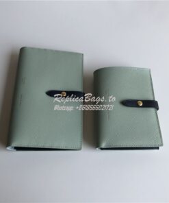 Replica Celine Strap medium/large multifunction wallet in light green 2