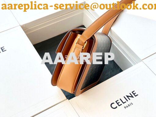 Replica Celine Triomphe Bag in Triomphe Canvas And Calfskin 7