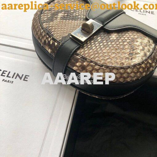 Replica Celine Small Besace 16 Bag in Python And Calfskin 188013 4