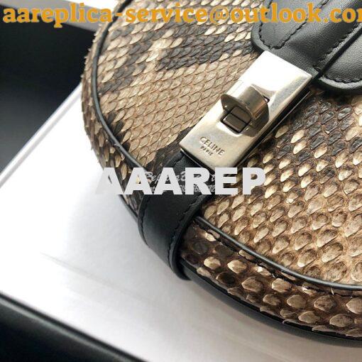 Replica Celine Small Besace 16 Bag in Python And Calfskin 188013 7