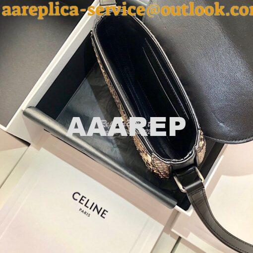 Replica Celine Small Besace 16 Bag in Python And Calfskin 188013 9