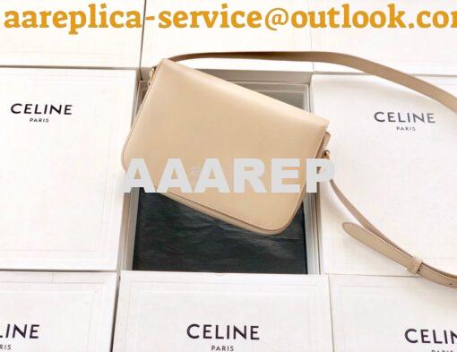 Replica Celine Triomphe Bag Nude 9