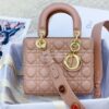 Replica My Lady Dior Bag Lambskin with Customisable Shoulder Strap Dar 11