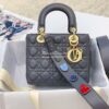 Replica Dior Quilted Cannage Small Diorama Lambskin M0421 13