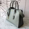 Replica Celine Medium Frame Bag in beige/medium green Shiny Smooth Cal 12