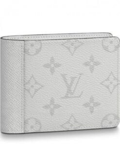 Replica Louis Vuitton Multiple Wallet Taigarama Antarctica M30300 BLV1069