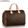 Replica Louis Vuitton Speedy 25 Bag Monogram Canvas M41109 BLV391 9