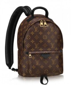 Replica Louis Vuitton Palm Springs Backpack PM M41560 BLV002